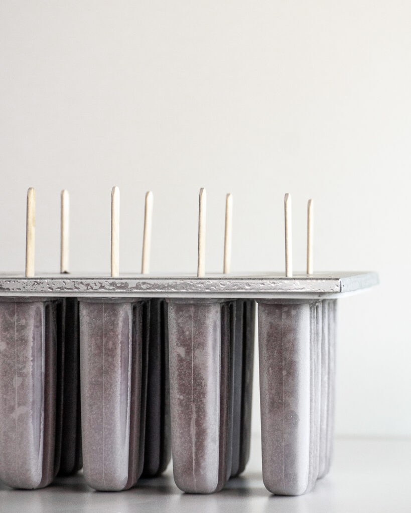 Vegan Chocolate Fudge Ice Pops in Ice Pop Mold