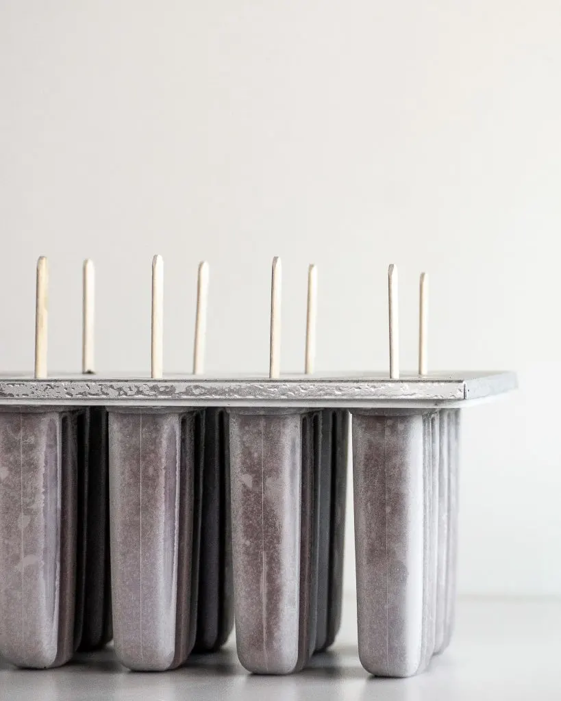 Vegan Chocolate Fudge Ice Pops in Ice Pop Mold