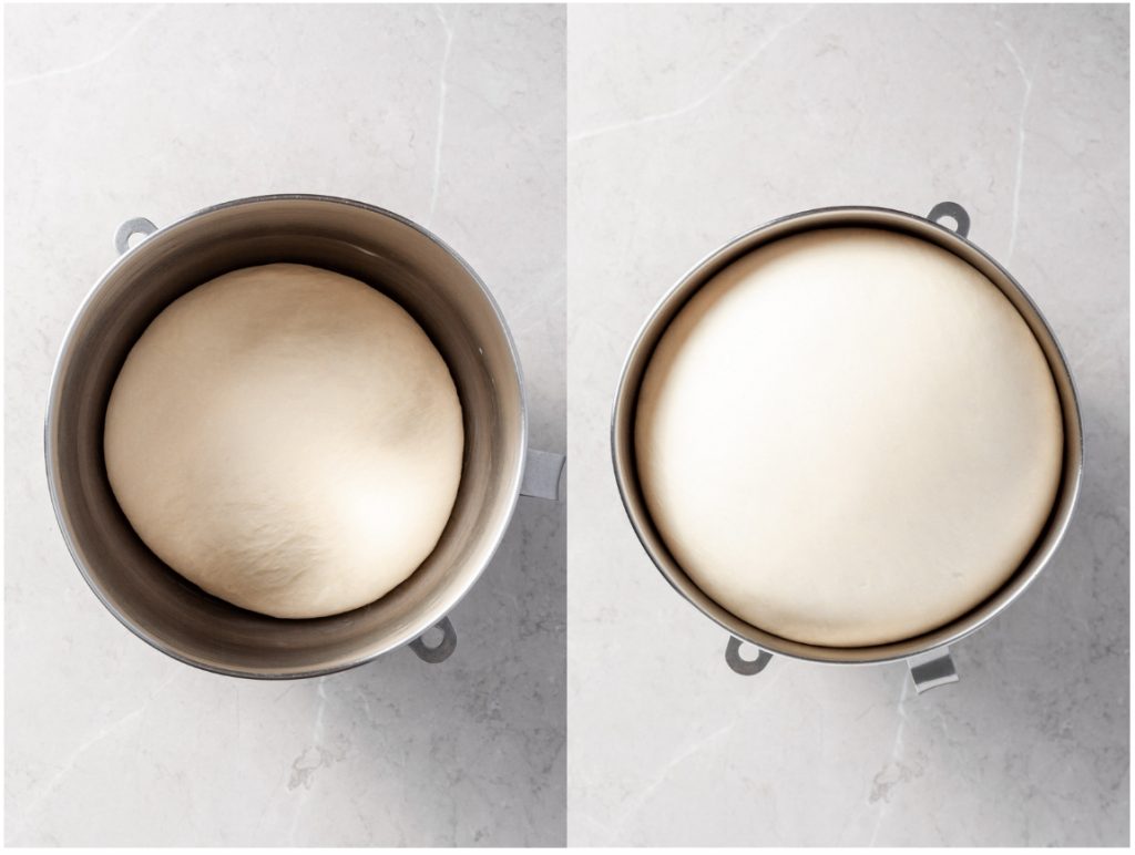 Two images - the first is of a bowl with a ball of dough at the bottom. The second image shows the same bowl with the same ball of dough but it has risen and has doubled in size.