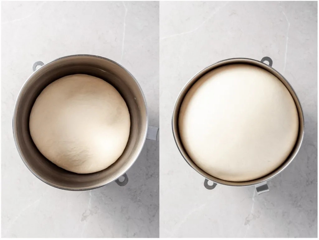 Two images - the first is of a bowl with a ball of dough at the bottom. The second image shows the same bowl with the same ball of dough but it has risen and has doubled in size.